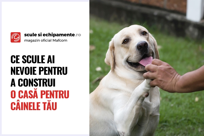 Ce scule ai nevoie pentru a construi o casă pentru câinele tău