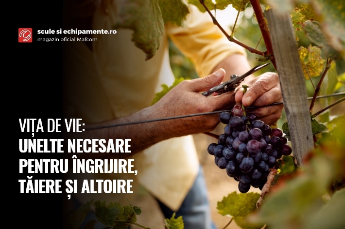 VIȚA DE VIE: UNELTE NECESARE PENTRU ÎNGRIJIRE, TĂIERE ȘI ALTOIRE