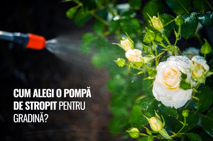 Cum alegi o pompa de stropit pentru gradina?