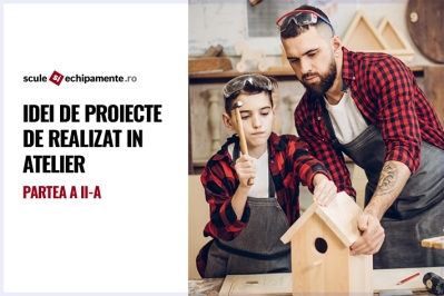 Idei de proiecte de realizat in atelier - Partea a II-a