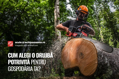 Cum alegi o drujba potrivita pentru gospodaria ta?