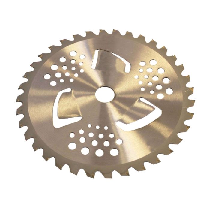 Disc vidia motocoasa 255X25.4 mm 40T MC0049.7 Polmonix