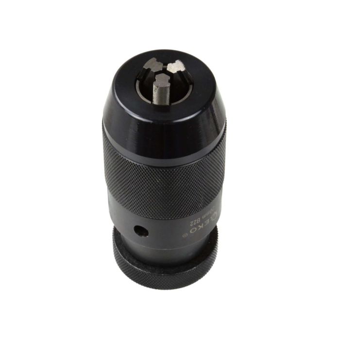 Mandrina automata 5-20