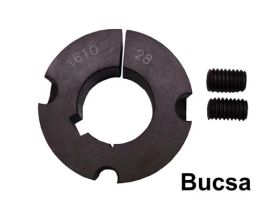 Bucsa
