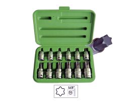 Trusa capete profil torx 12 buc 51261