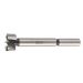 Freza pentru lemn 20 mm 4932363708 Milwaukee