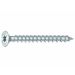 6 X 100 MM (cap Torx T30, lungime filet 93 mm, 100buc/pachet) 61107