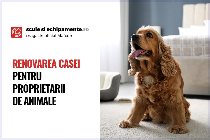 Renovarea casei pentru proprietarii de animale