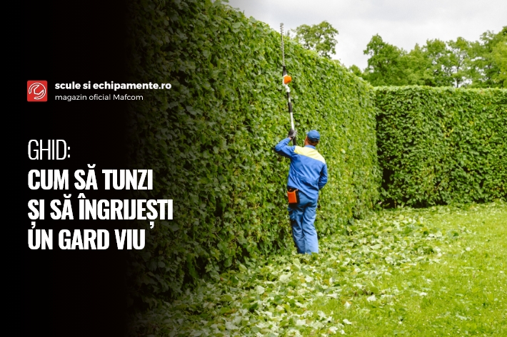 GHID: Cum să tunzi și să îngrijești un gard viu